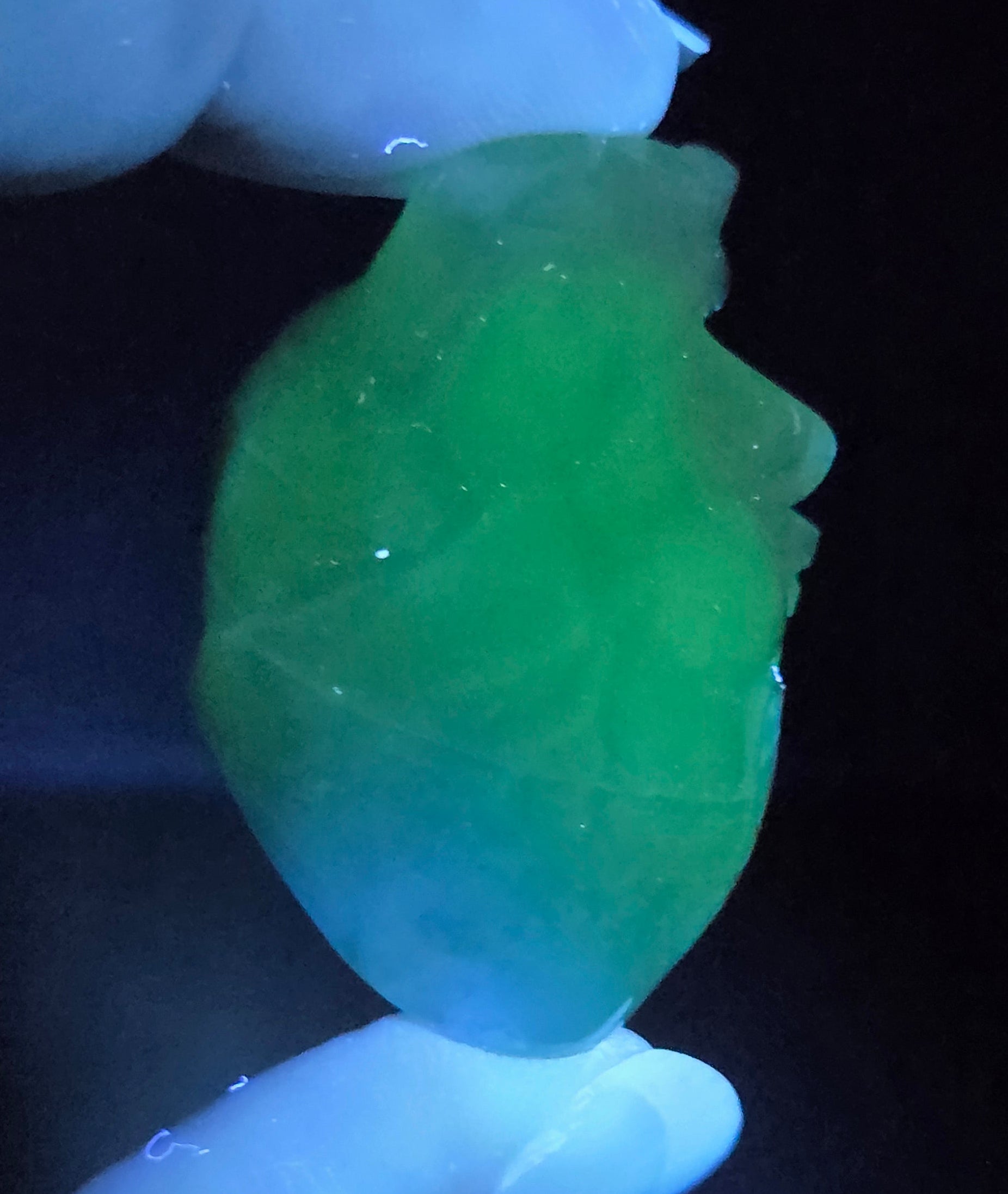 anatomical heart carving being held by fingers against a black background under UV light