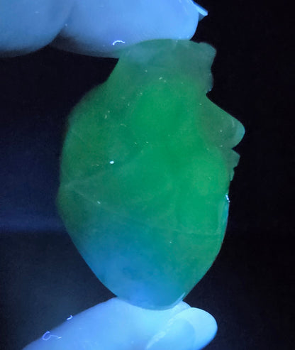 anatomical heart carving being held by fingers against a black background under UV light