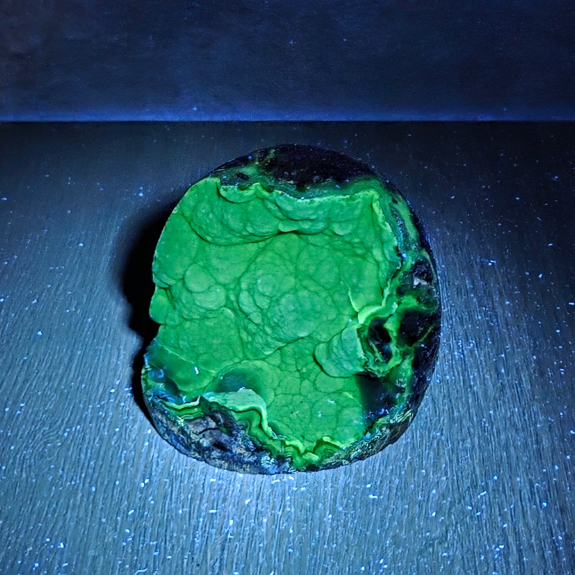 A small irregularly shaped stone or mineral sample with a bright neon green marbled surface and dark edges, photographed on a dark blue-lit surface.