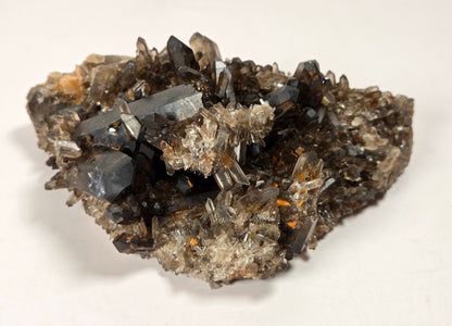 A natural smoky quartz crystal cluster specimen on a light beige background.
