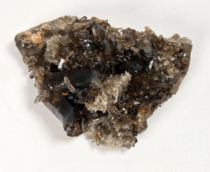 A raw mineral specimen featuring dark brown and black smoky quartz crystals on a light beige matrix, photographed on a clean white background.