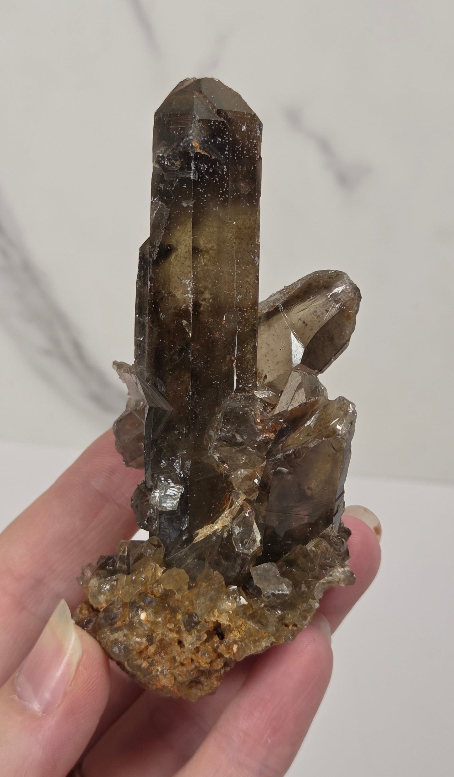 A hand holding a natural smoky quartz crystal cluster with a rough matrix, set against a light gray marble-patterned background.