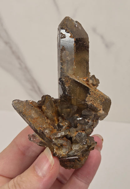 A hand holding a natural smoky quartz crystal cluster with brown matrix, set against a light marble-patterned background.