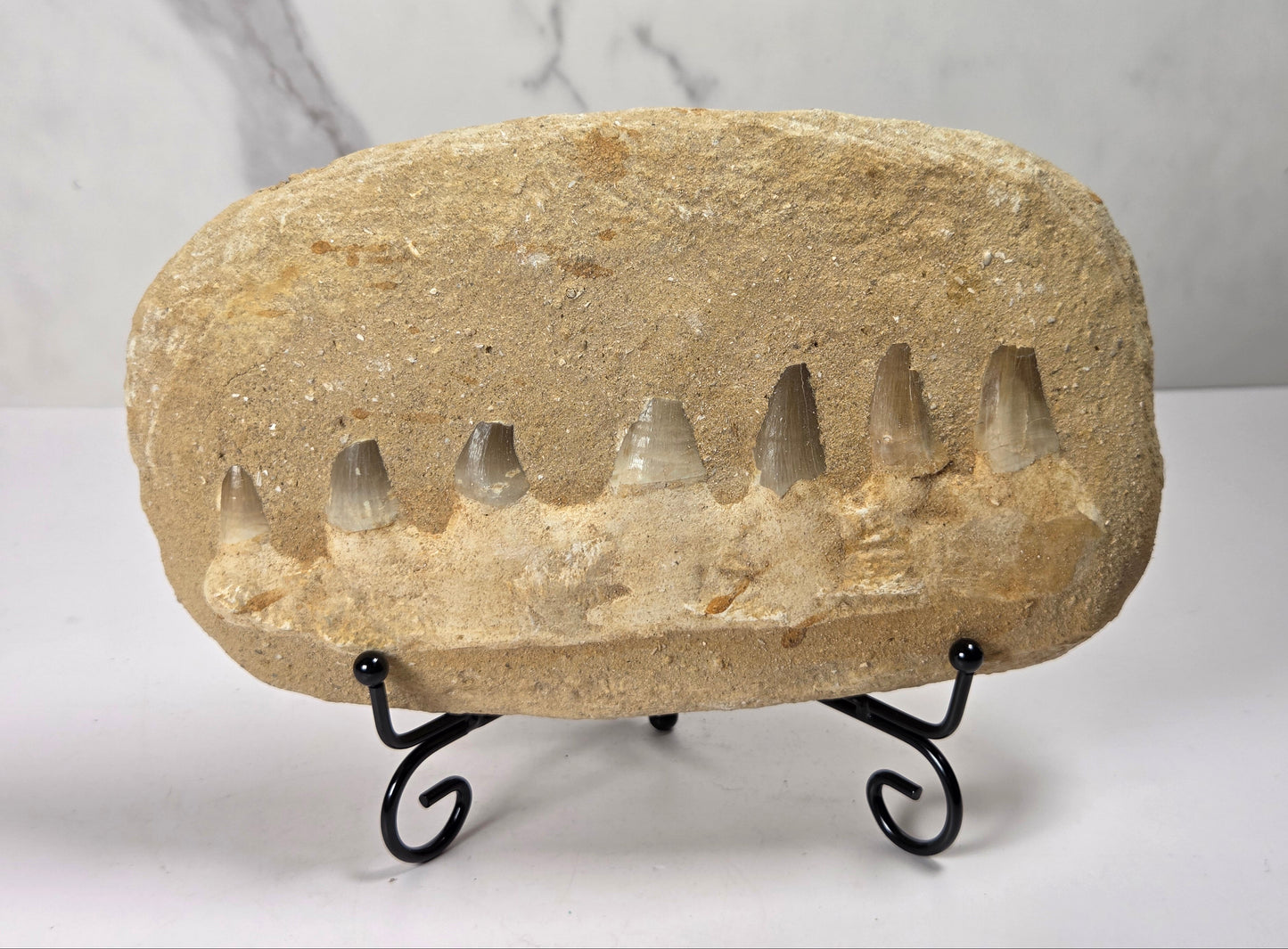 A natural stone tooth mold or decorative plaque with multiple tooth-shaped cavities, displayed on a black metal stand against a light gray marble-patterned background.