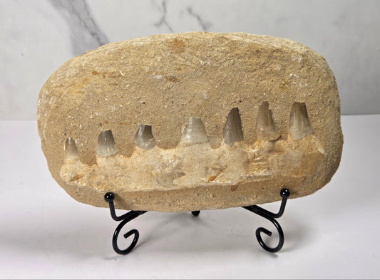 A natural stone tooth mold or decorative plaque with multiple tooth-shaped cavities, displayed on a black metal stand against a light gray marble-patterned background.