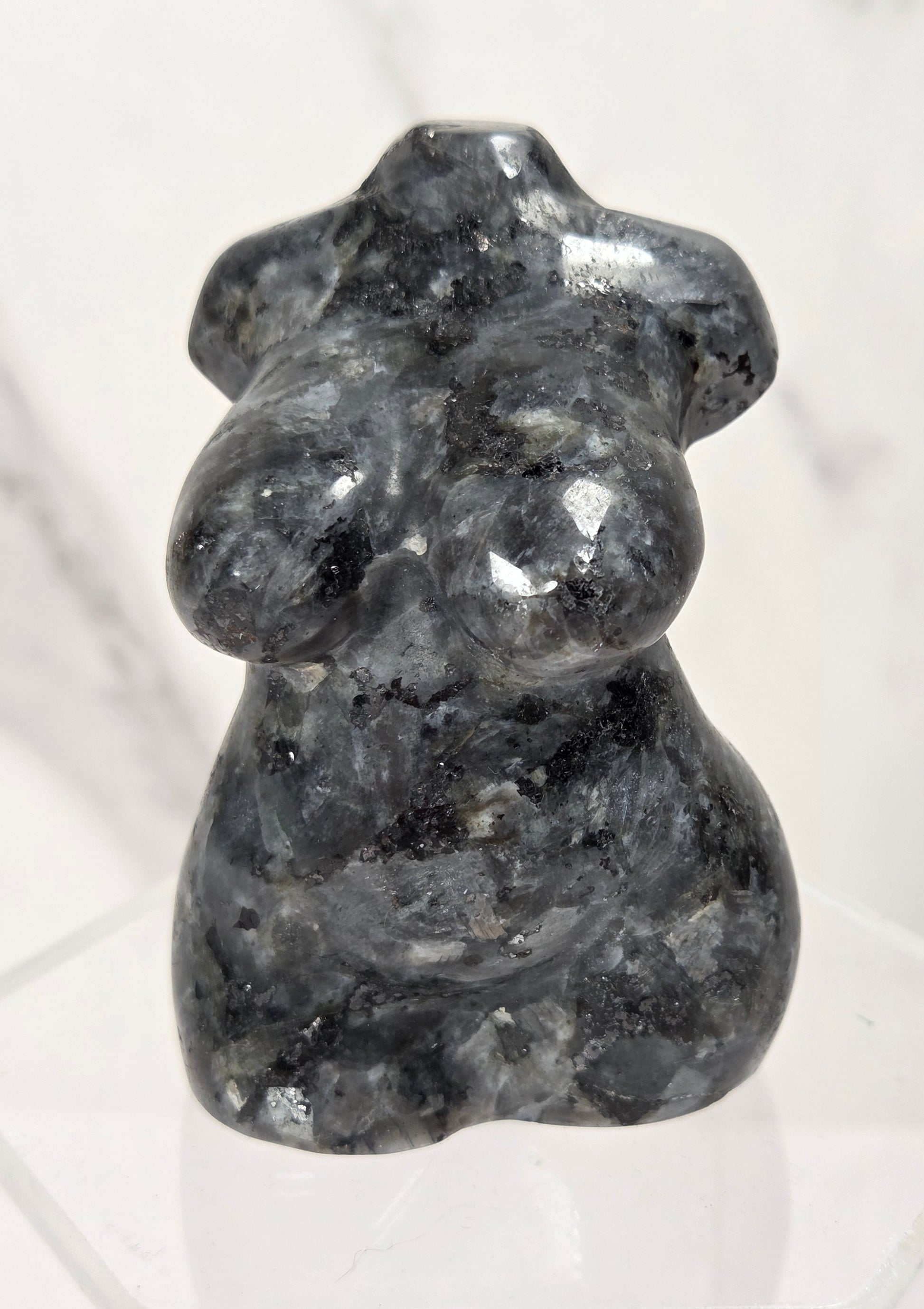 A small polished dark gray stone figurine with a glossy, reflective surface, displayed on a clear acrylic hexagonal stand against a light marble background.