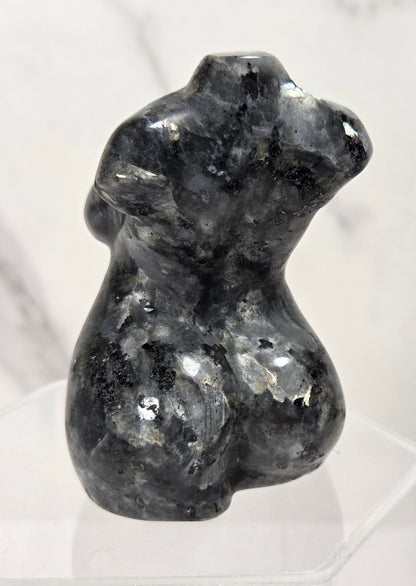 A polished black and gray stone torso sculpture displayed on a clear acrylic stand against a light marble-patterned background.