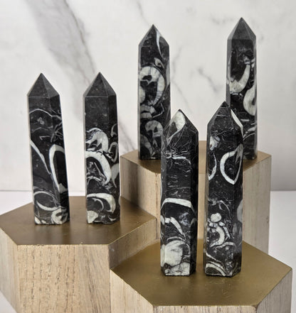 Five black and white marbled crystal points displayed on a set of hexagonal wooden stands with gold-colored tops, set against a white marble background.