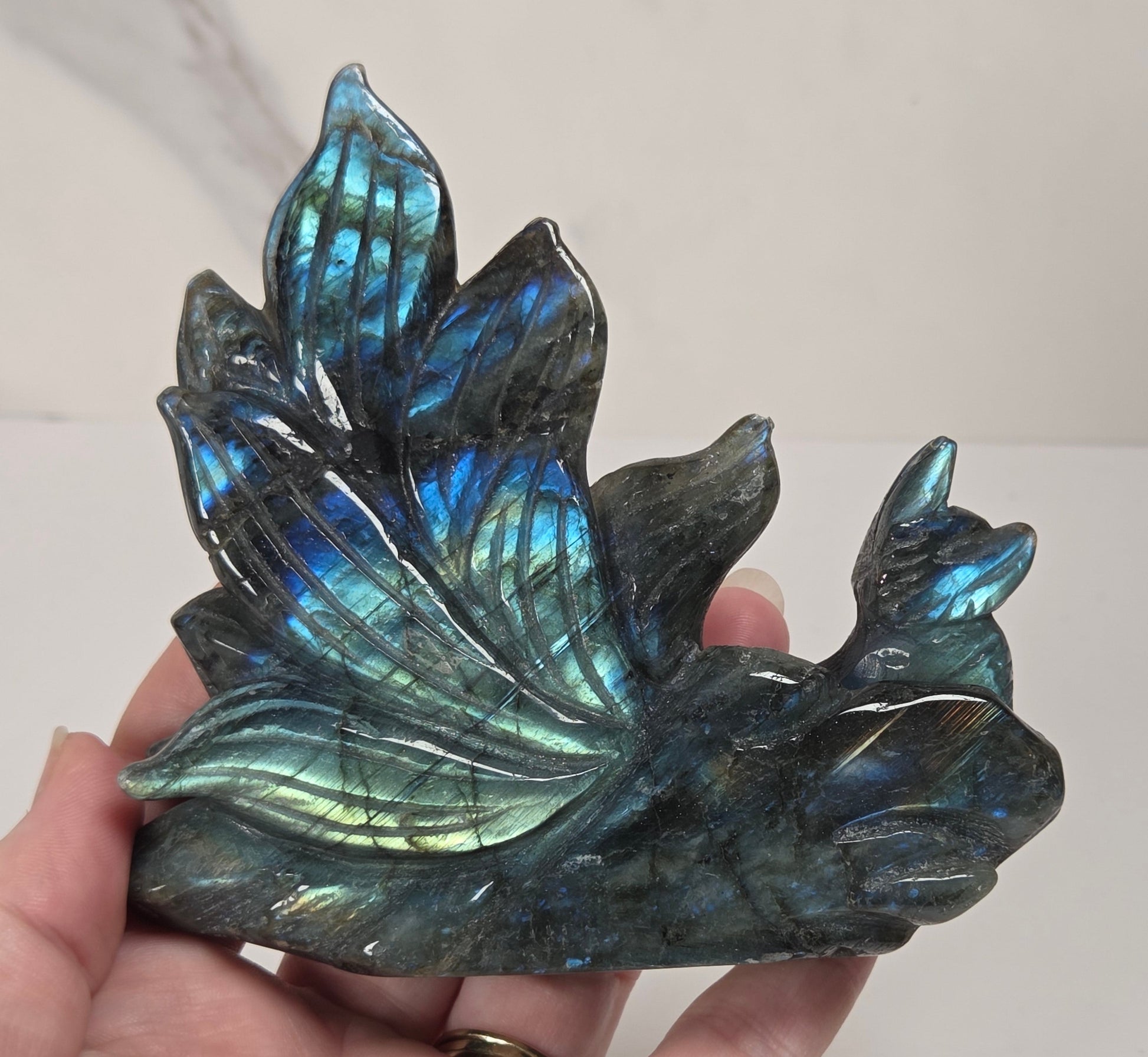 A hand holding a polished labradorite crystal cluster shaped like leaves, showing a shimmering blue-green iridescent finish against a light neutral background.