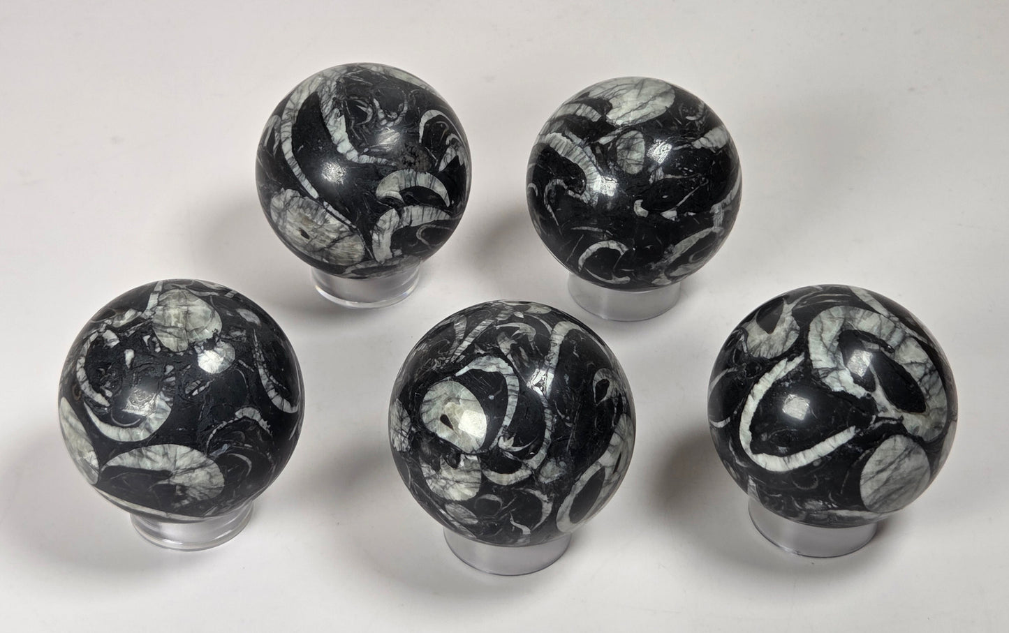 Five black and white marbled spherical knobs with swirling stone patterns, displayed on clear plastic stands against a light gray background.