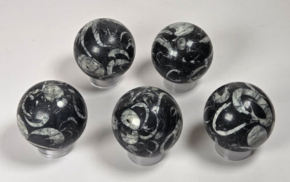 Five black and white marbled spherical knobs with swirling stone patterns, displayed on clear plastic stands against a light gray background.
