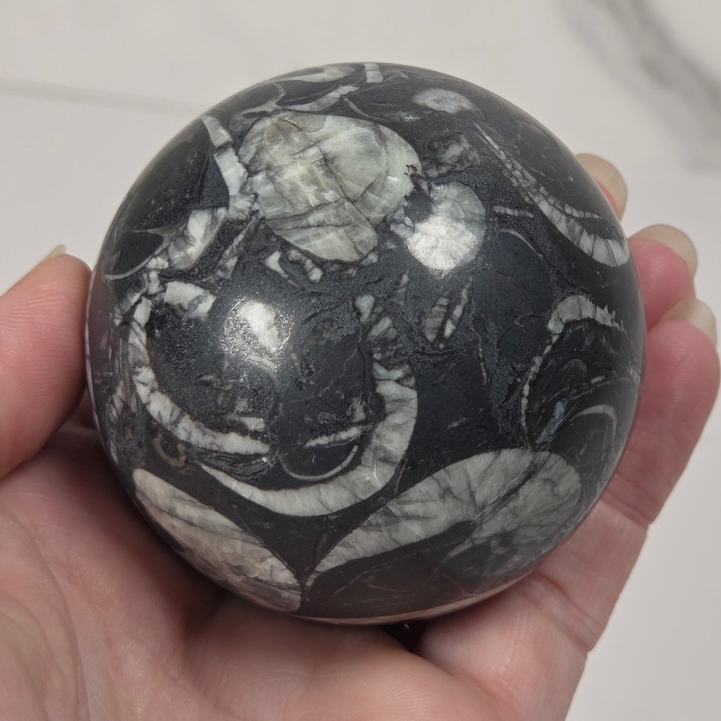 A hand holding a polished black and white marbled stone sphere, showing a glossy surface with natural veining patterns.