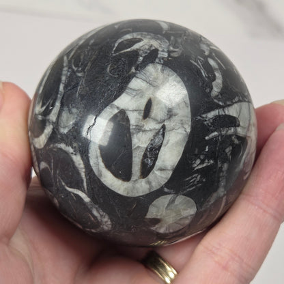 A hand holding a polished black and white marbled stone sphere, showing a white circular inlay pattern on a dark background.