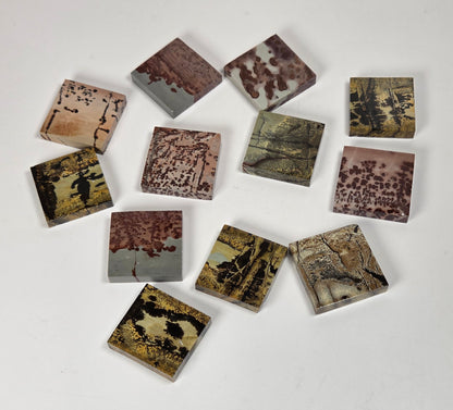 A set of small square tiles with various artistic landscape and nature prints, arranged in a loose circle on a plain white background.