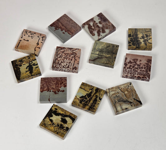 A set of small square tiles with various artistic landscape and nature prints, arranged in a loose circle on a plain white background.