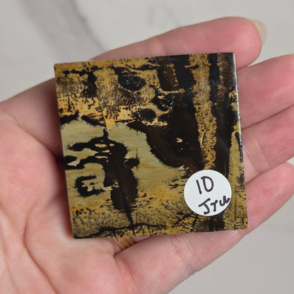 A hand holding a small square art print or tile featuring an abstract black and gold textured design, with a white circular sticker that reads '1D True'.