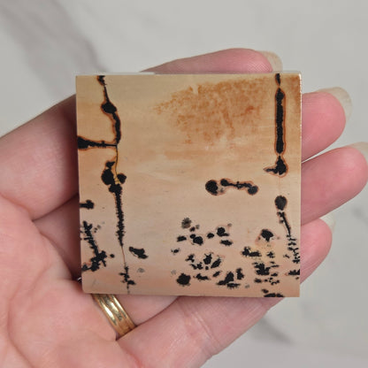 A hand holding a square cork tile with black burnt markings and a light brown center, set against a light marble background.