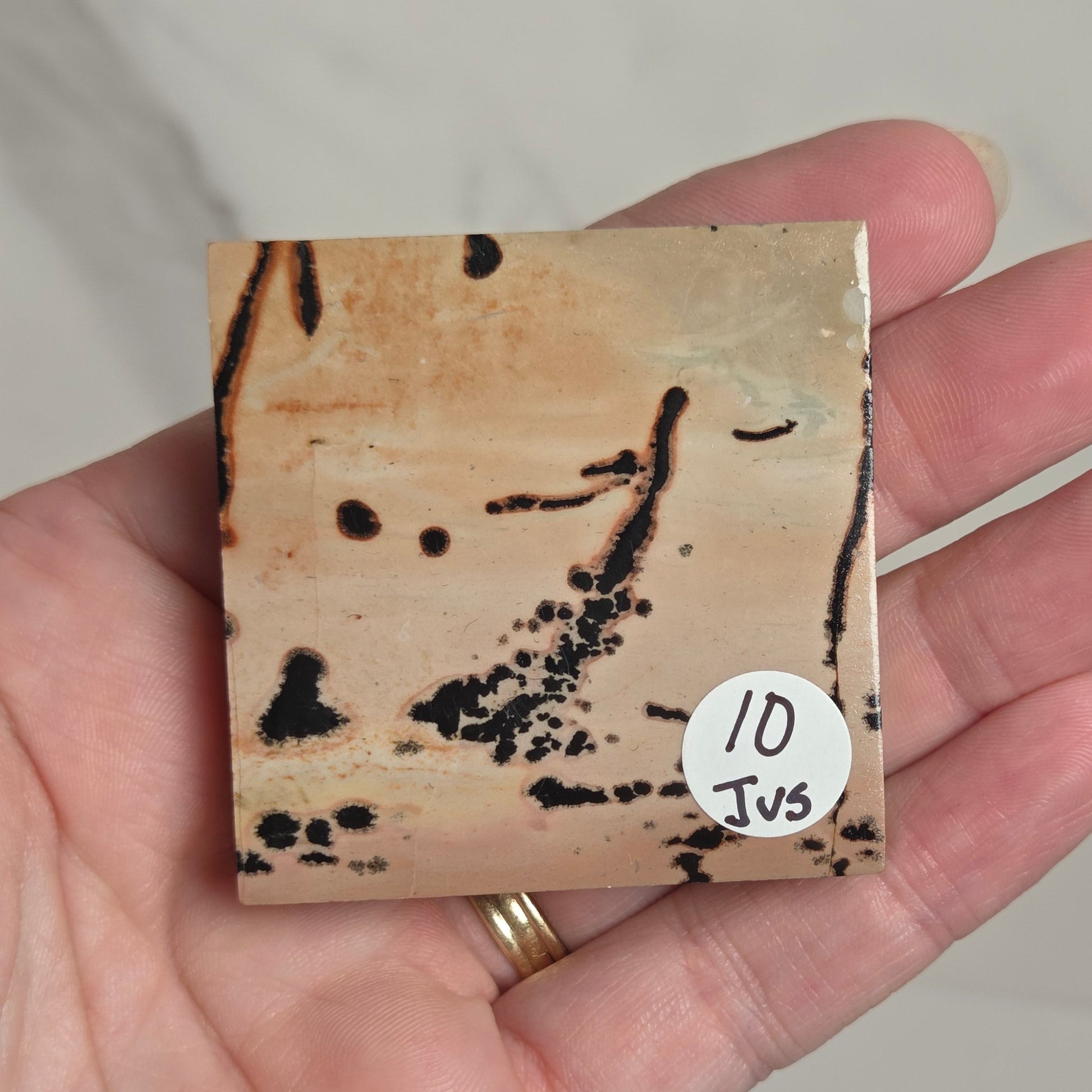 A hand holding a small square polished stone slab with a tan base and black abstract markings, featuring a small white sticker that reads '10 Jvs'.