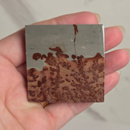A hand holding a square polished stone tile with a mottled pattern of brown and gray, set against a light marble background.