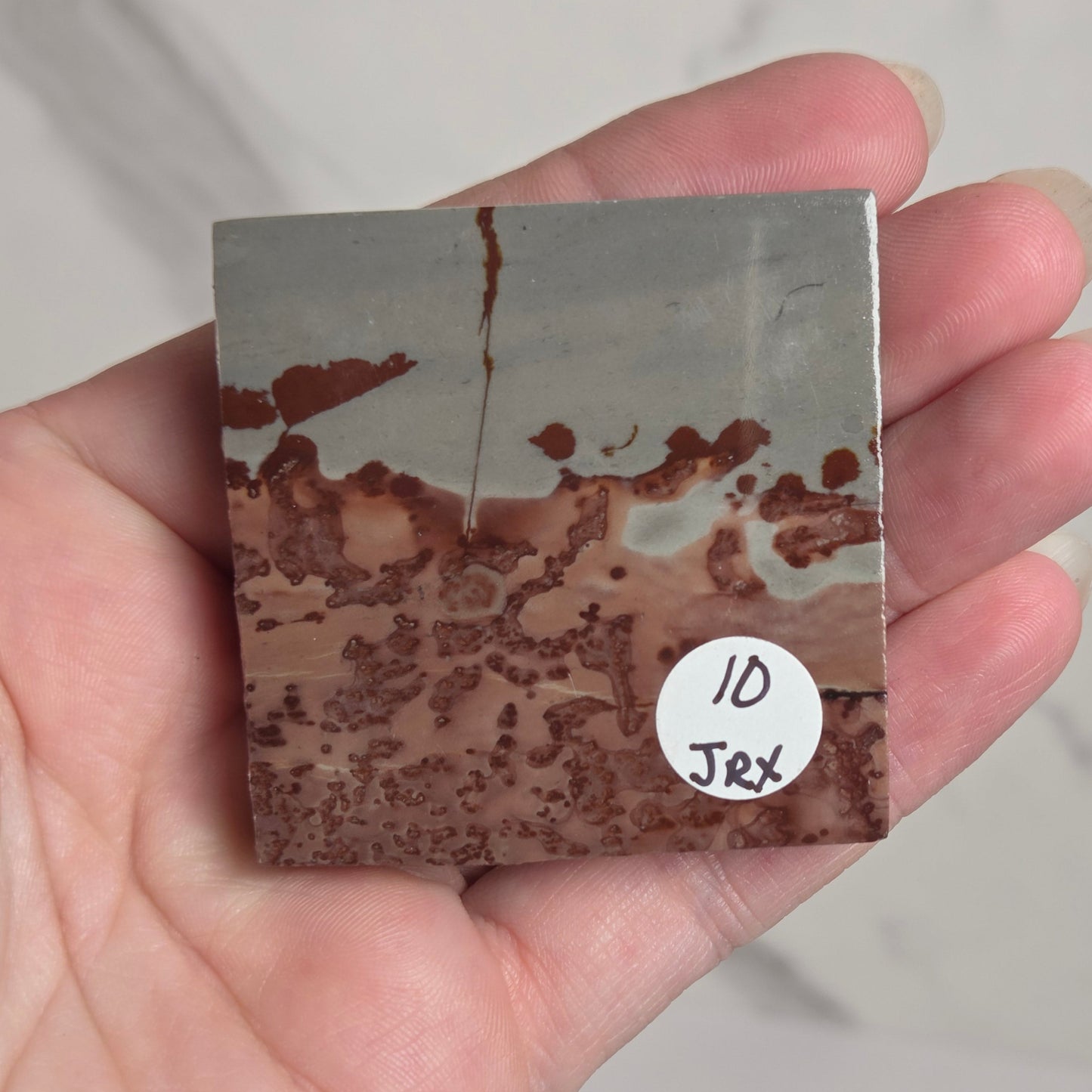 A hand holding a square polished stone slab with a mottled pattern of brown, rust, gray, and off-white. A small white circular sticker with the handwritten text '10 JRX' is attached to the bottom right of the slab.