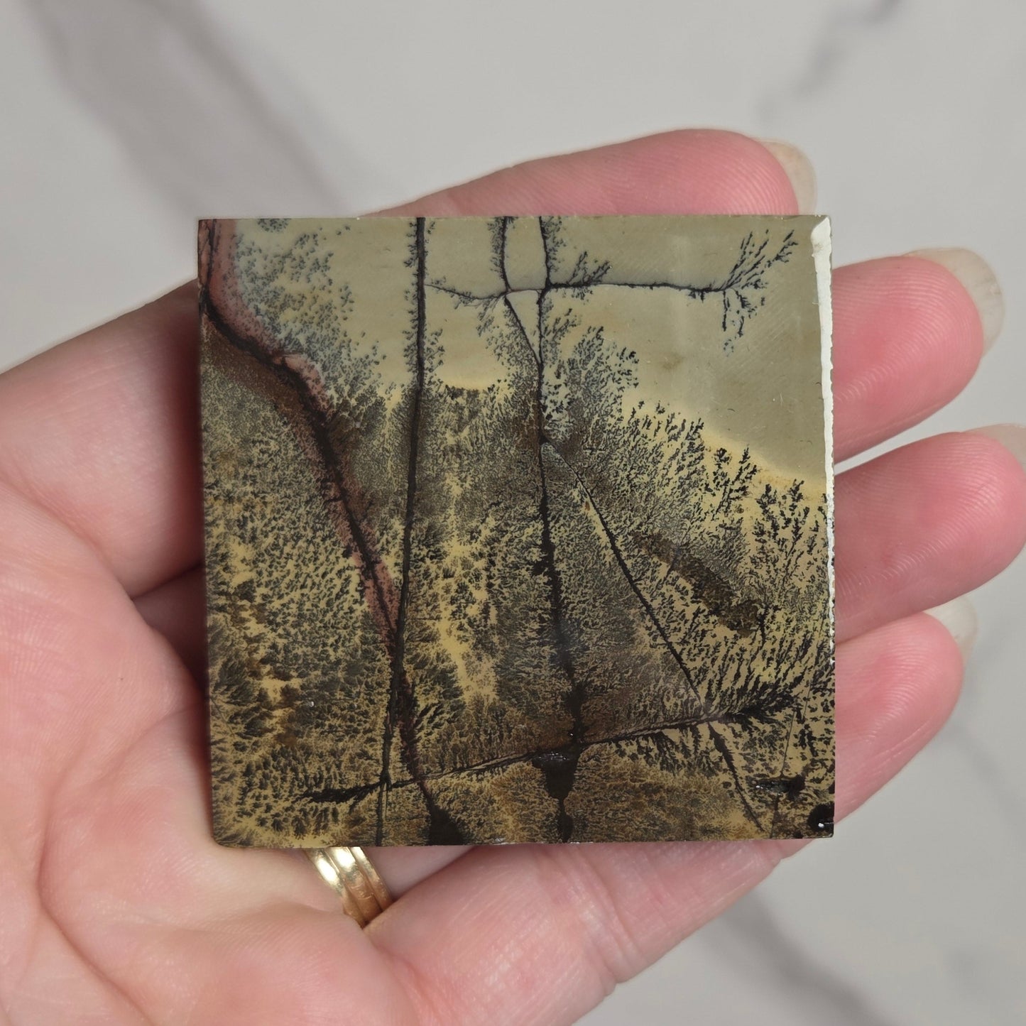 A hand holding a small square ceramic tile featuring a vintage-style landscape painting of trees and hills in muted earth tones, set against a light marble background.