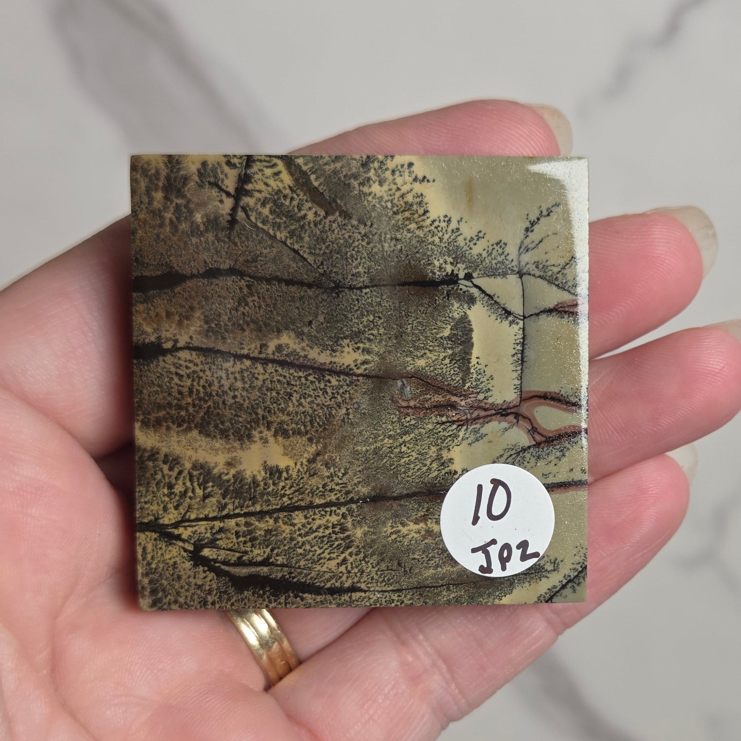A hand holding a small square art print or card featuring a monochrome tree landscape in muted beige, brown, and gray tones, with a small white circular sticker reading '10 JPY' on the lower right. The background is a light marble-like surface.