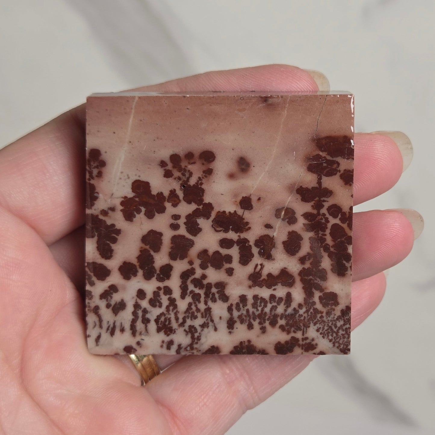 A hand holding a square decorative stone or tile with a mottled pattern of dark brown spots on a warm beige and light brown background, set against a light gray marble surface.