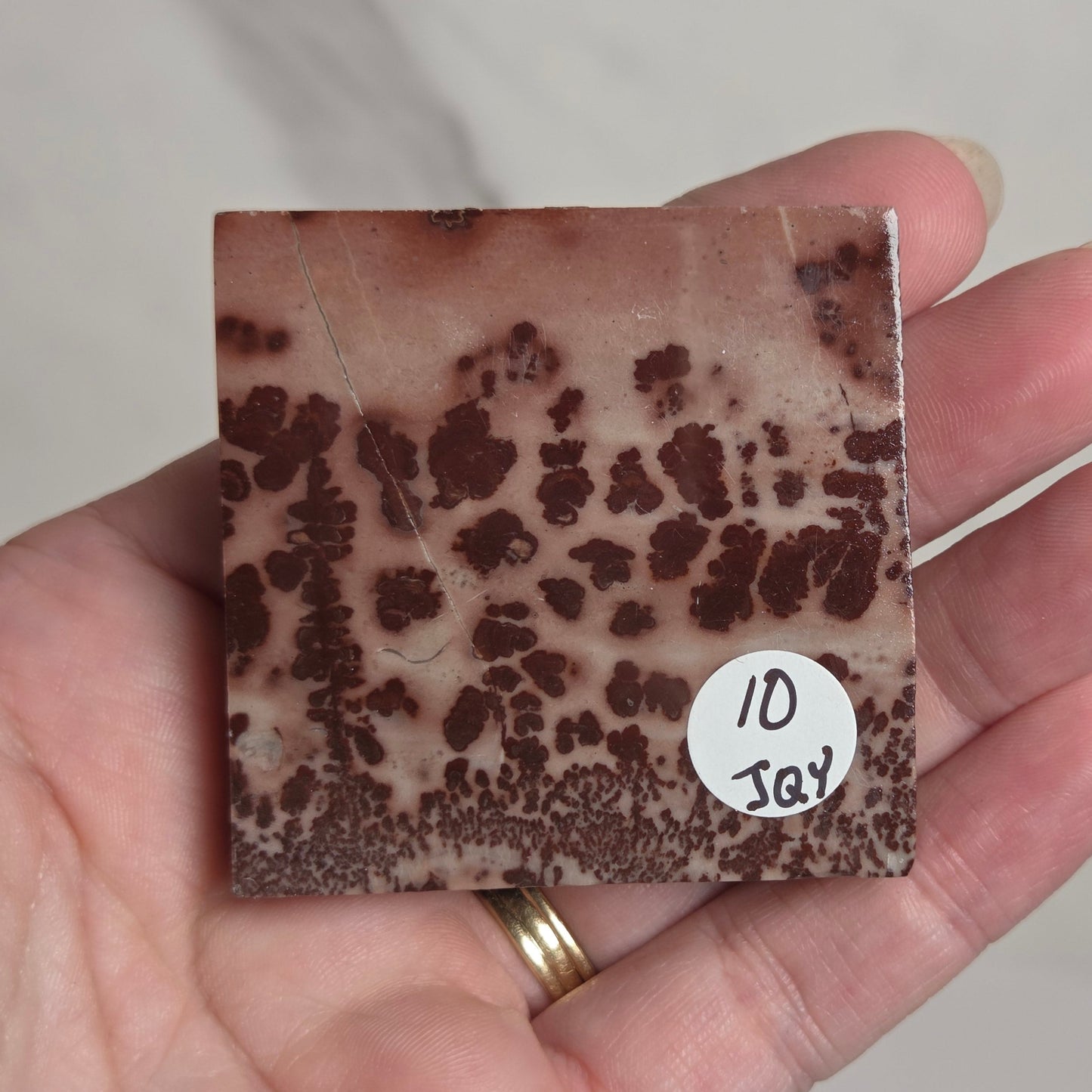 A hand holding a square polished stone slab with a mottled brown and beige pattern, featuring a small white sticker that reads '10 Jay'.