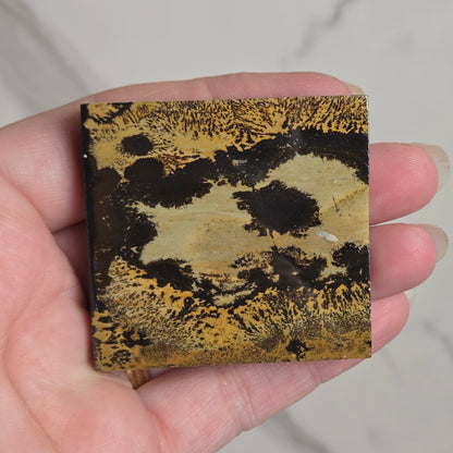 A hand holding a square piece of textured black and gold foil or paper against a light marble background.