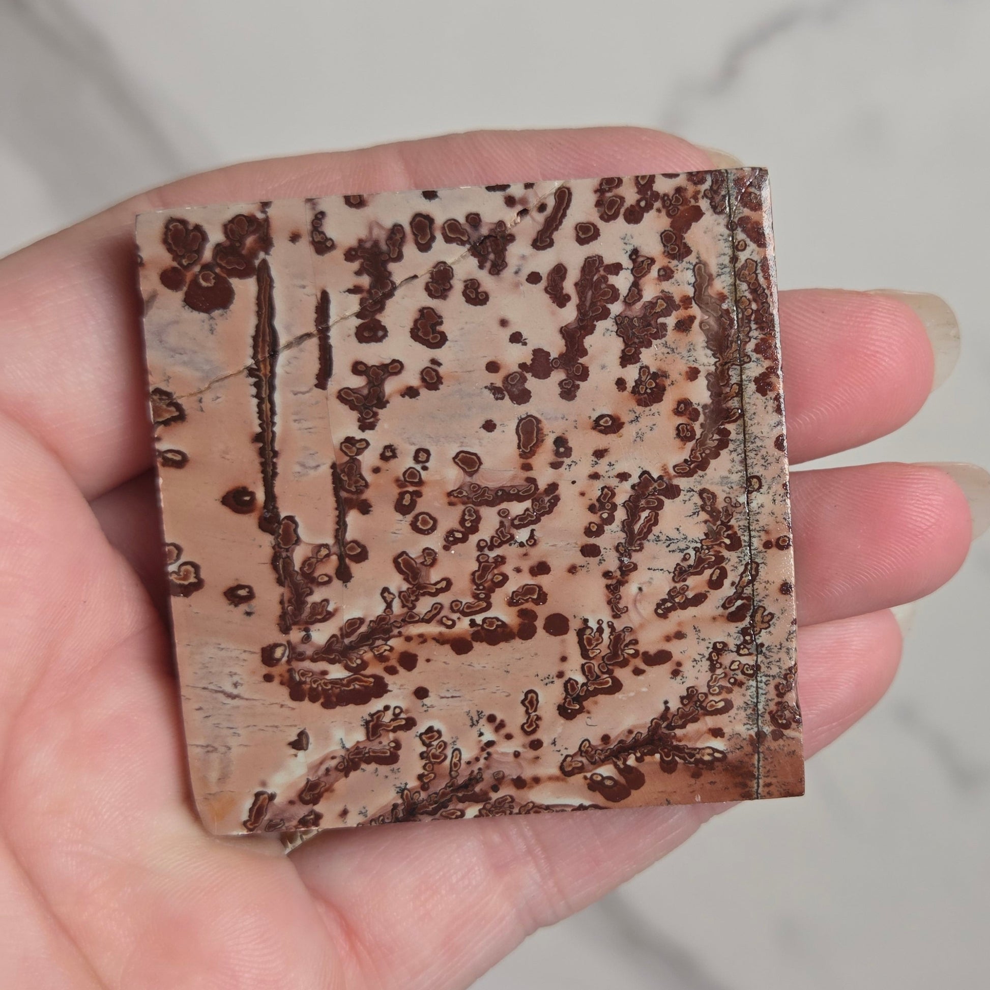 A hand holding a square ceramic tile with a textured, speckled pattern in earthy brown, beige, and gray tones, set against a light marble background.
