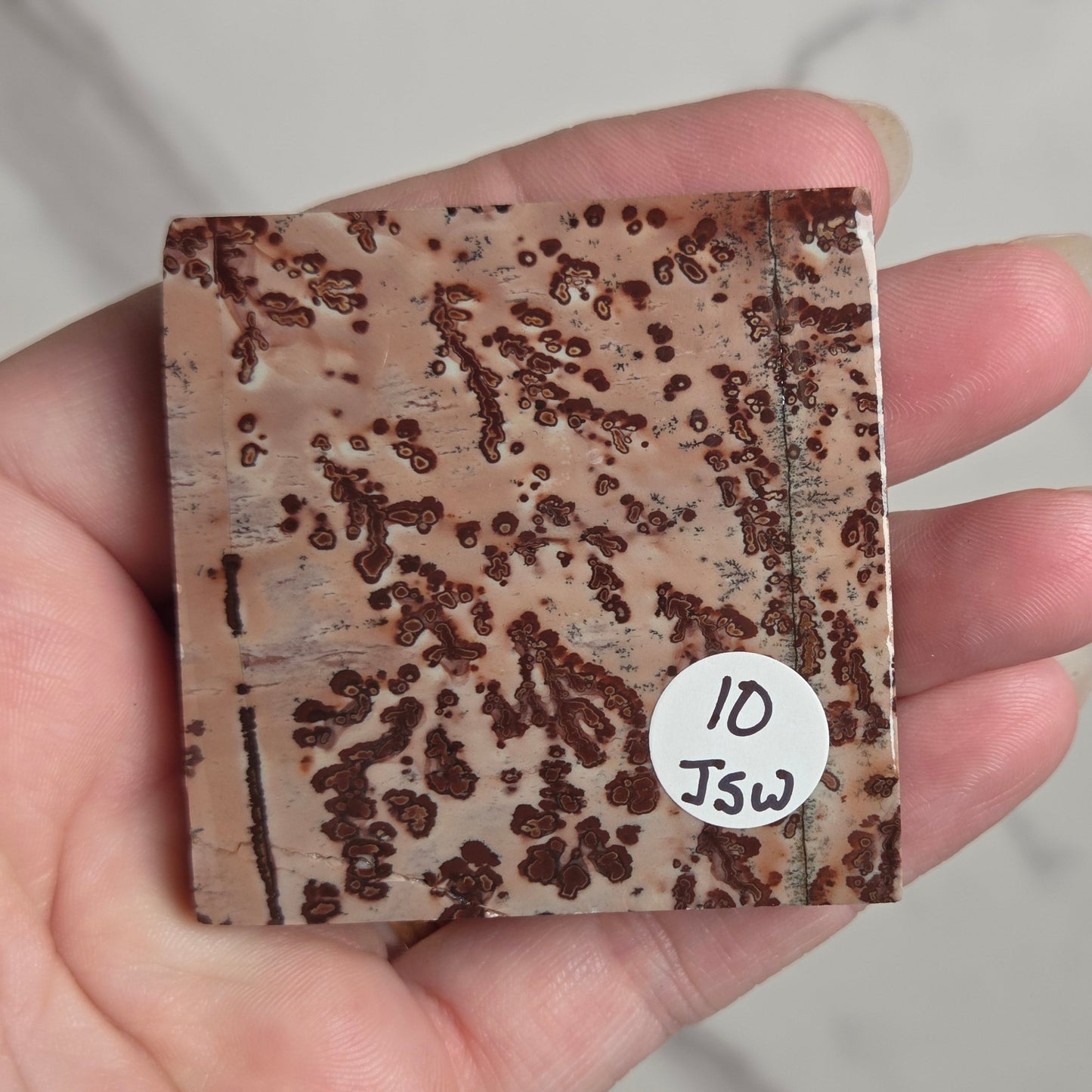 A hand holding a square stone slab with a mottled brown and beige pattern, featuring a small white sticker that reads '10 Jsw'.