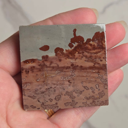 A hand holding a square polished stone tile with a natural marbled pattern in gray, brown, and rust-red tones, set against a light marble-patterned background.
