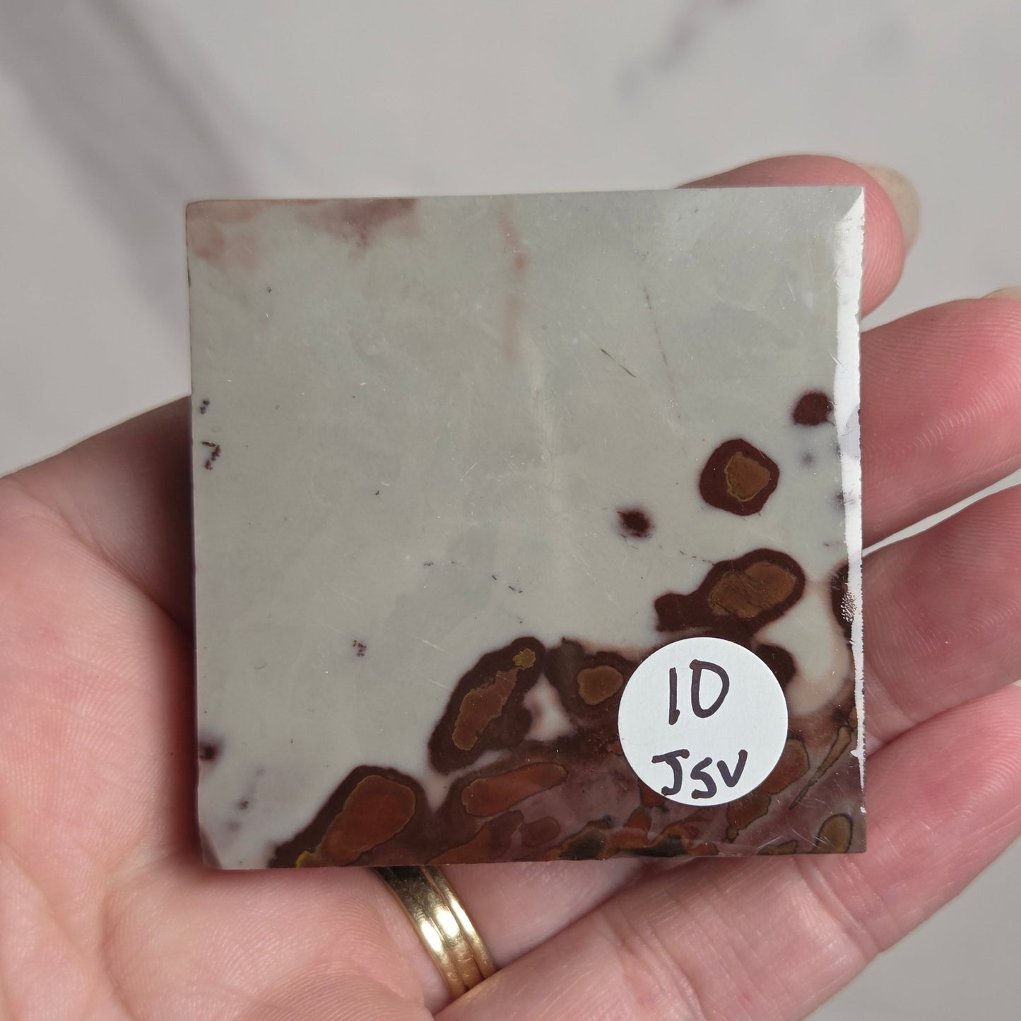 A hand holding a square polished stone slab with a light gray to off-white base and scattered dark reddish-brown inclusions, featuring a small white circular sticker that reads 'ID Jsv'.