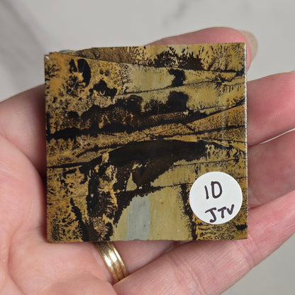 A hand holding a square sample of patterned material, likely a stone or tile, featuring a textured design in gold, brown, and black. A white circular sticker with the handwritten text 'ID JTN' is attached to the bottom right corner of the sample.