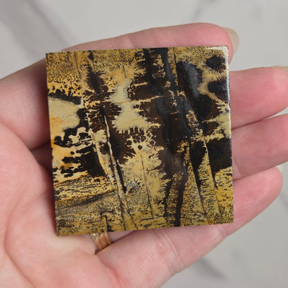 A hand holding a square decorative tile or coaster featuring a black and gold abstract forest pattern, set against a light marble background.