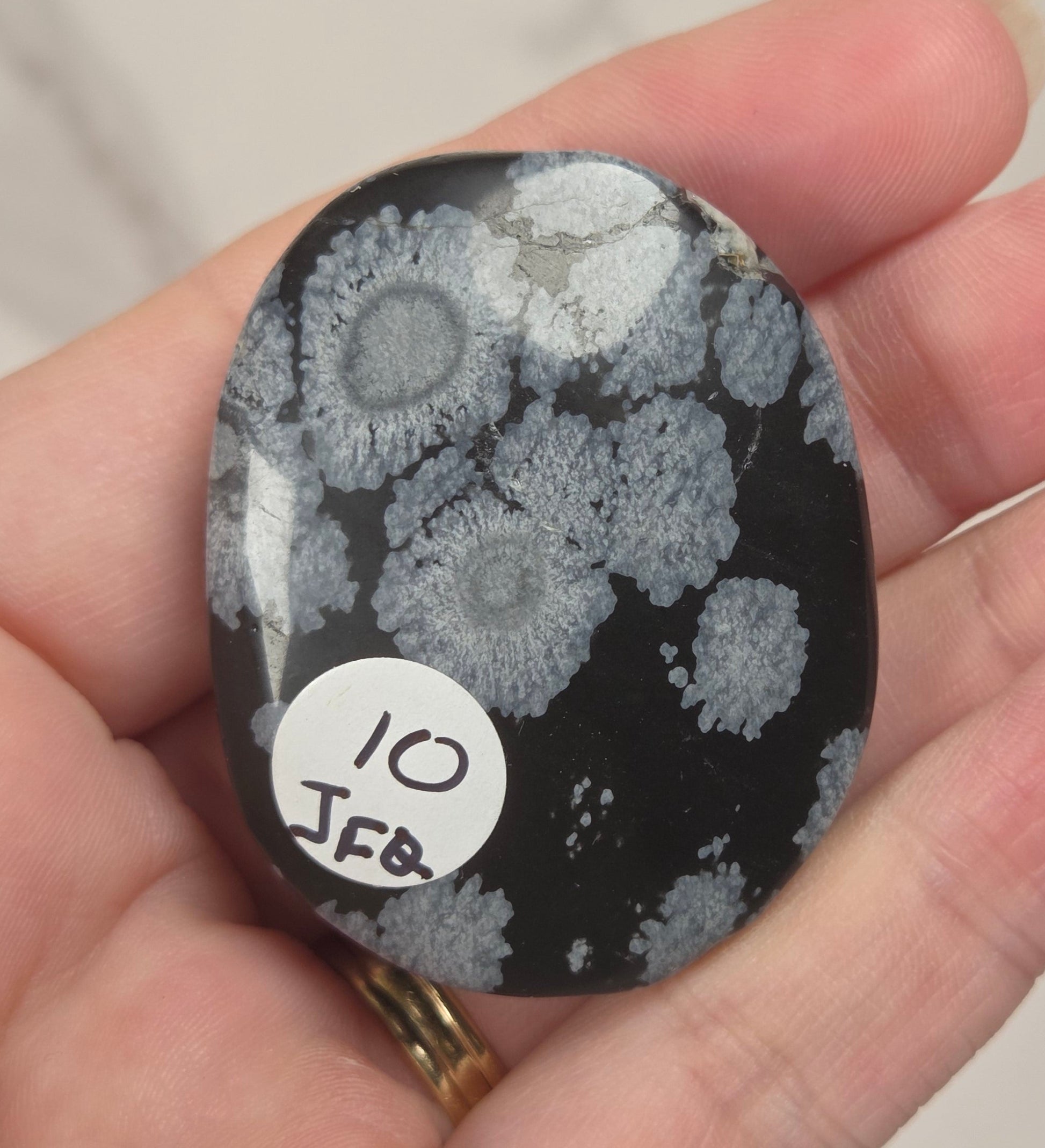 A hand holding a polished black stone with gray coral-like floral patterns, featuring a small white sticker that reads '10 JFB'.
