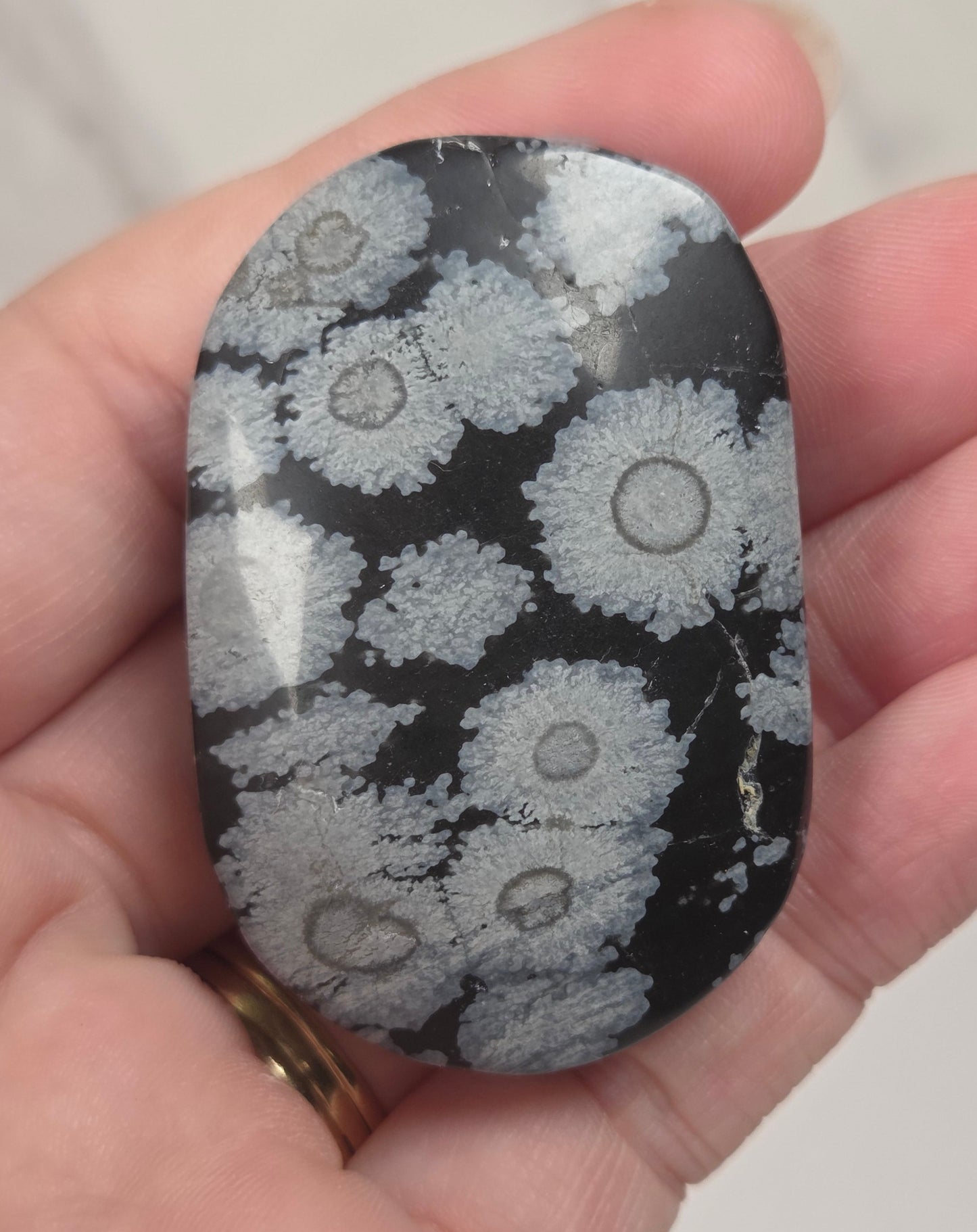 A hand holding a polished black stone with a white coral-like circular pattern, photographed against a light neutral background.