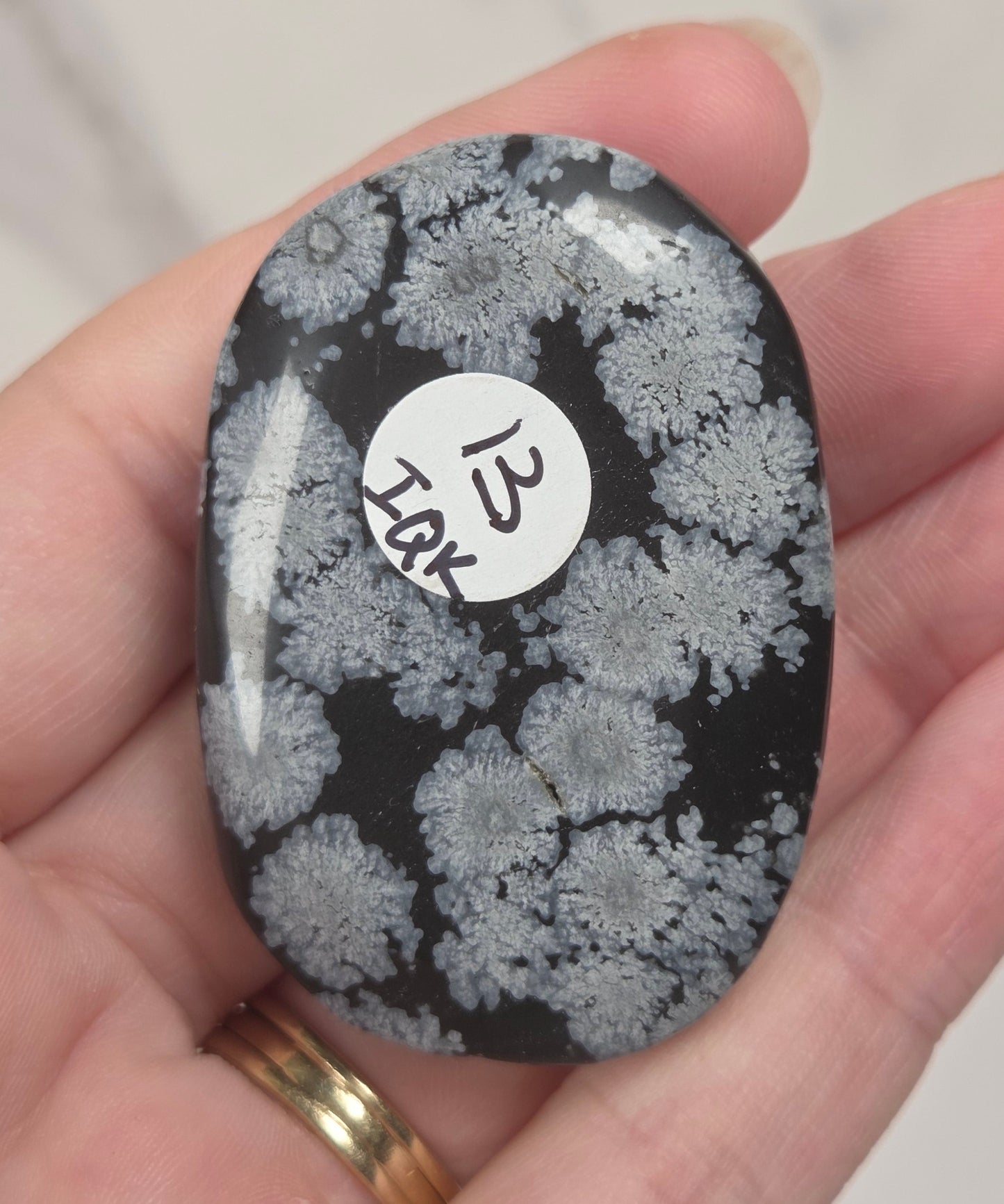 A hand holding a polished black stone with intricate white floral or coral-like patterns, featuring a small white circular sticker with black characters.
