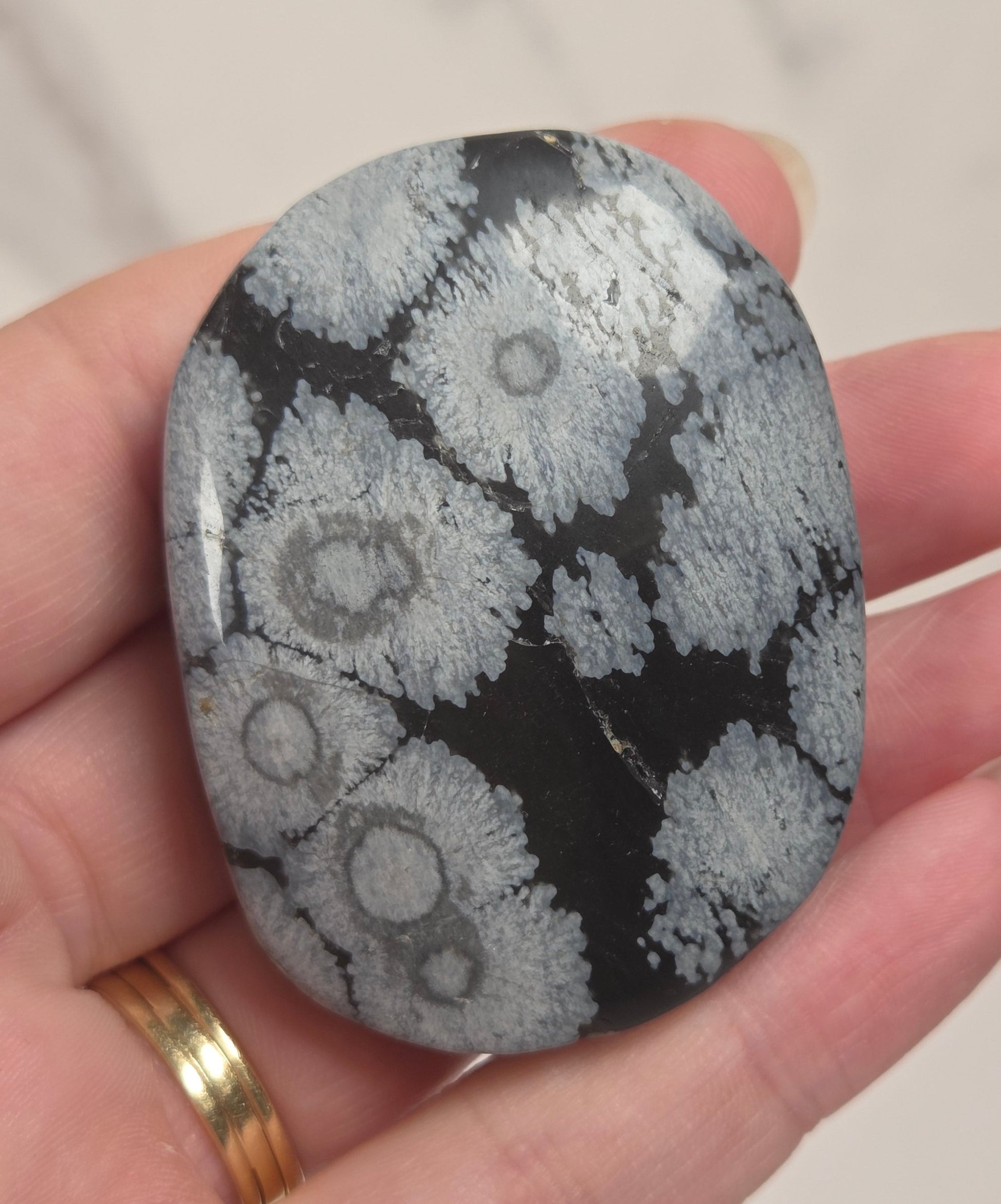 A hand holding a polished black stone with a white and gray coral-like circular pattern, with a gold ring on the finger, against a light marble background.