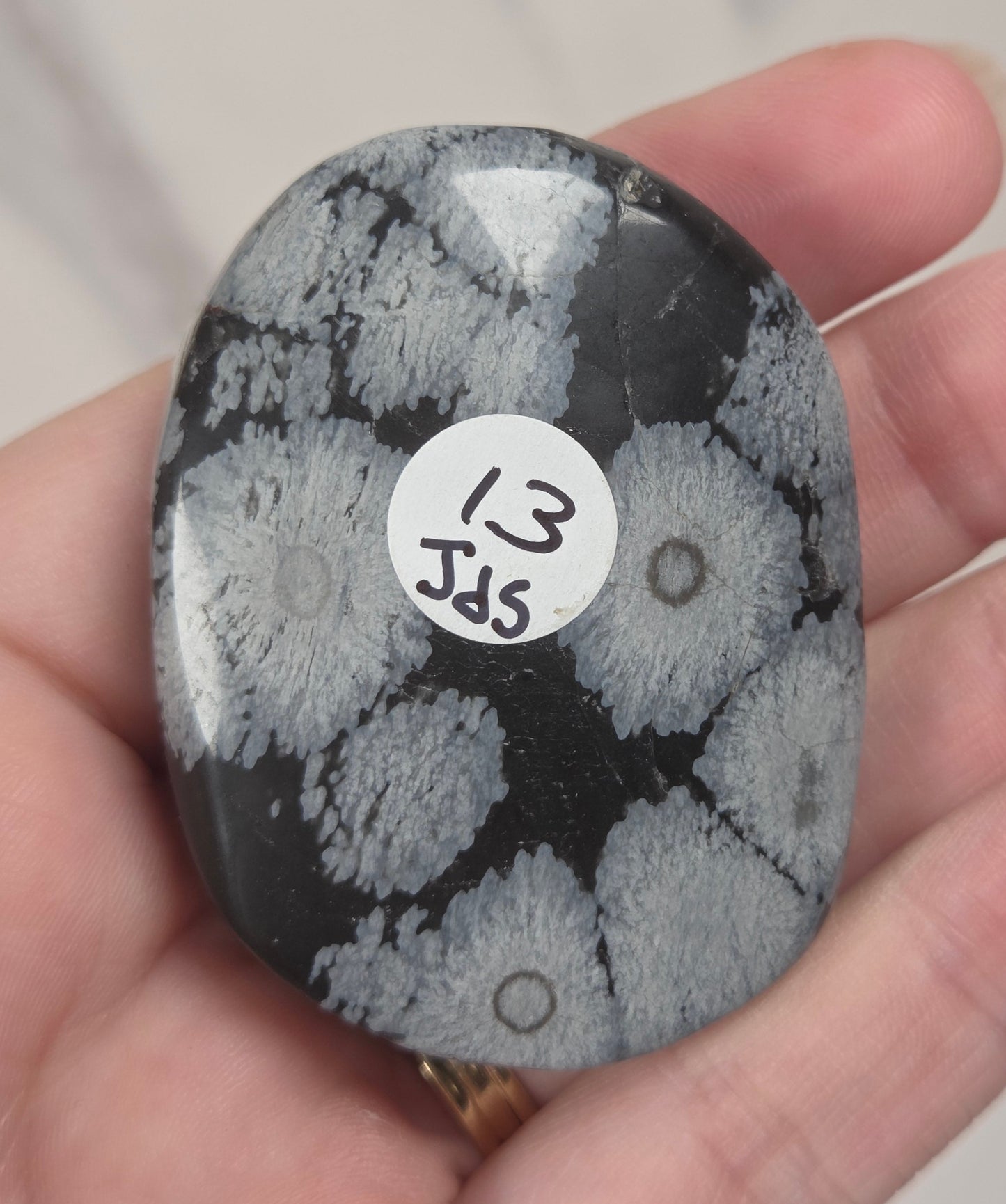 A hand holding a polished black and white mottled stone with a small white circular sticker that reads '13 Jds'.