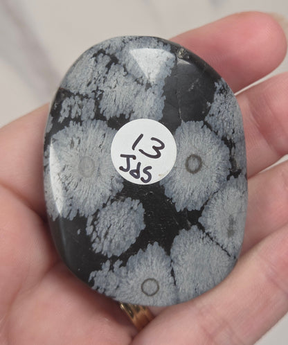 A hand holding a polished black and white mottled stone with a small white circular sticker that reads '13 Jds'.