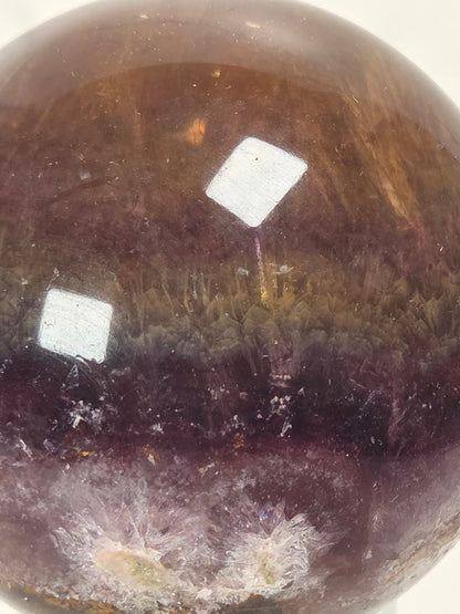 A close-up of a polished oval gemstone with a gradient of deep purple and brown, showing natural crystalline textures and internal inclusions.