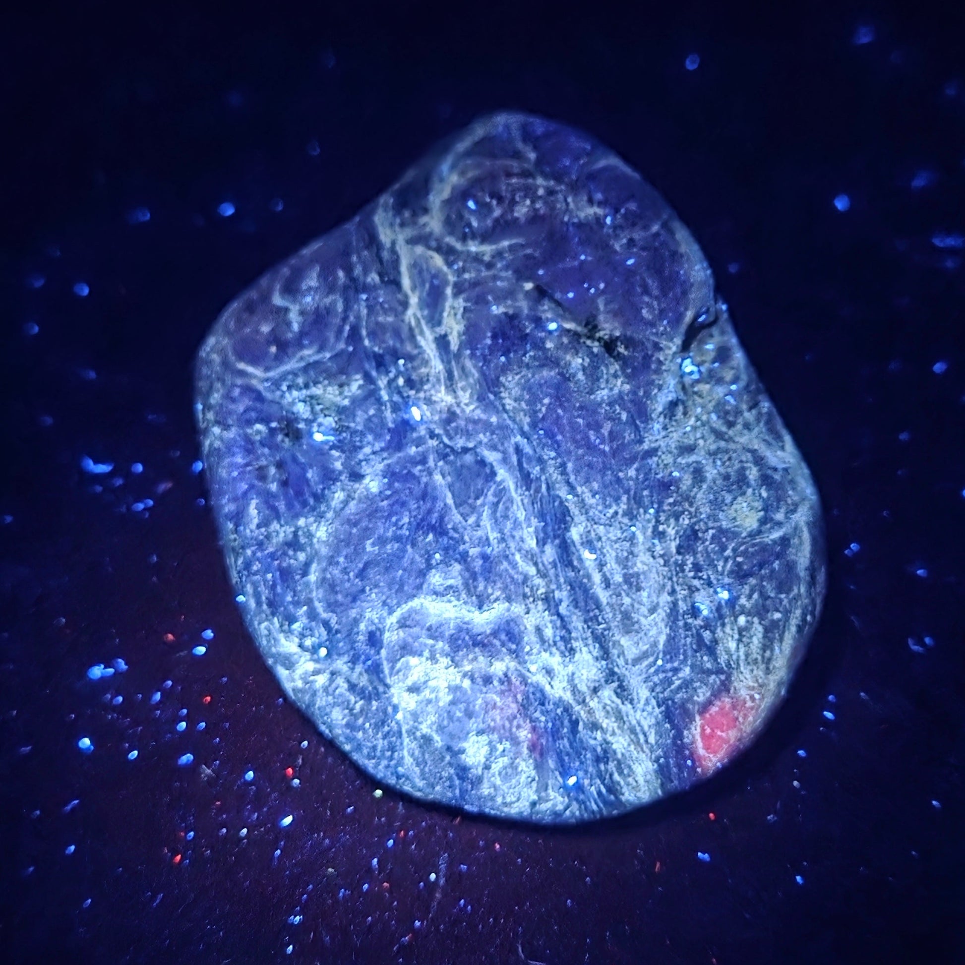 A rough, polished blue stone or mineral specimen with white veining and a small red inlay, photographed against a dark background under blue light.