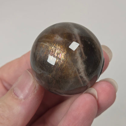 A hand holding a polished round brown stone with a metallic gold sheen and white banding, set against a light gray background.