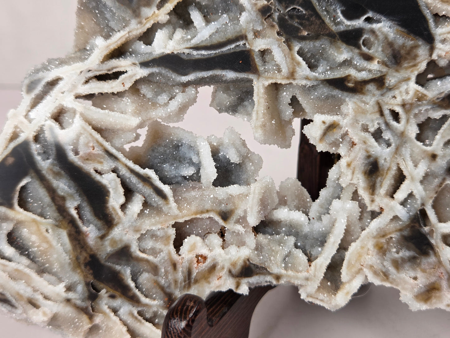 A close-up of a textured stone or mineral specimen with layered crystalline patterns in off-white, gray, and dark charcoal tones, displayed on a dark wooden stand.