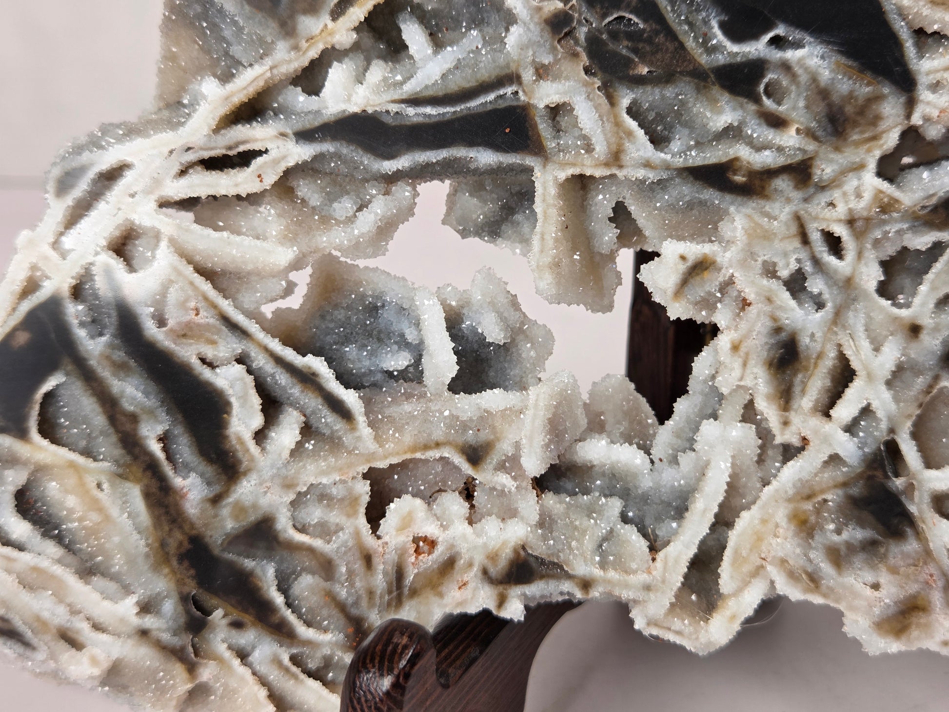 A close-up of a textured stone or mineral specimen with layered crystalline patterns in off-white, gray, and dark charcoal tones, displayed on a dark wooden stand.