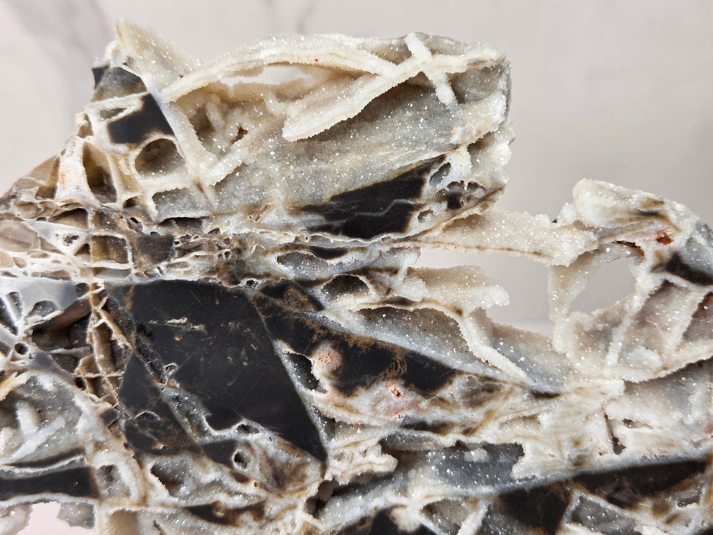 A close-up of a porous, sponge-like material with a mix of beige, gray, and black sections, showing a detailed textured surface.