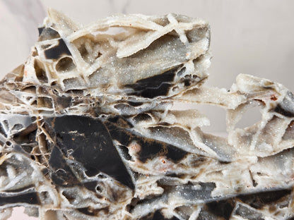 A close-up of a porous, sponge-like material with a mix of beige, gray, and black sections, showing a detailed textured surface.