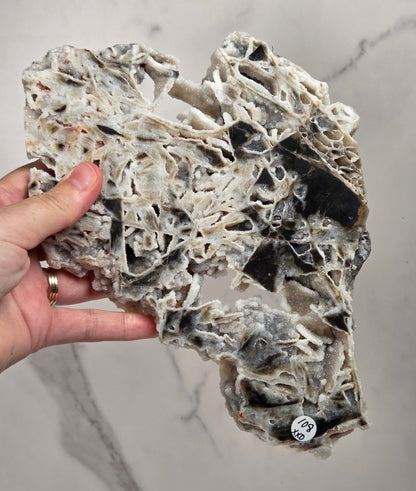 A hand holding a large, irregularly shaped piece of natural coral or stone with a highly textured, branching structure in off-white, gray, and black. The background is a light gray marble-patterned surface.