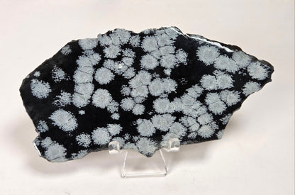 A raw mineral specimen of black obsidian with white to light-gray dendritic crystalline patterns, displayed on a clear acrylic stand against a white marble background.